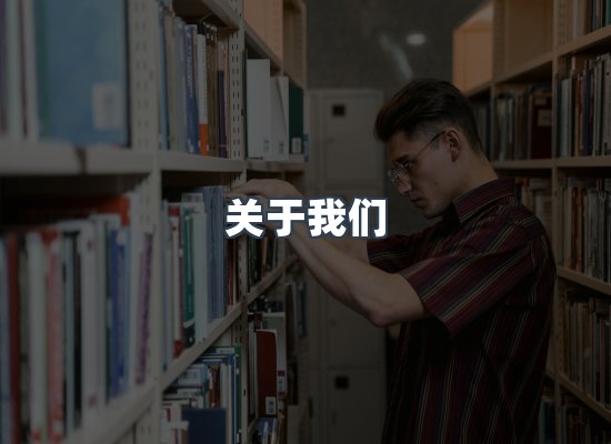 专业团队